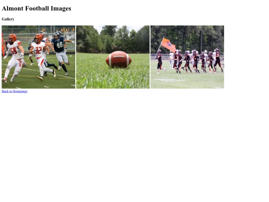 Almont-football-images screenshot