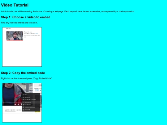 video-embed screenshot