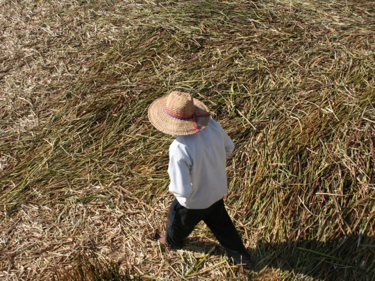 uros screenshot