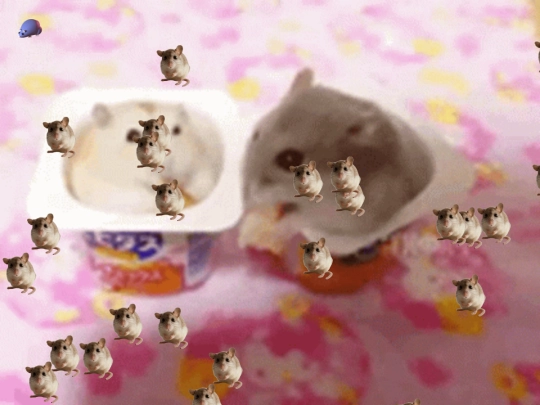 indexhamster screenshot