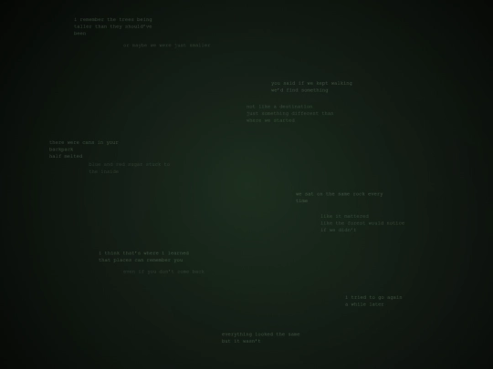 shrines/writings/forest screenshot