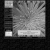 disinformation.neocities.org avatar