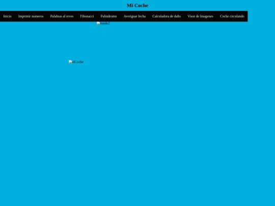 Clasepractica-Java/Coche screenshot