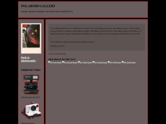 photography/polaroidgallery screenshot