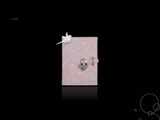 diary screenshot