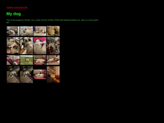 dog screenshot