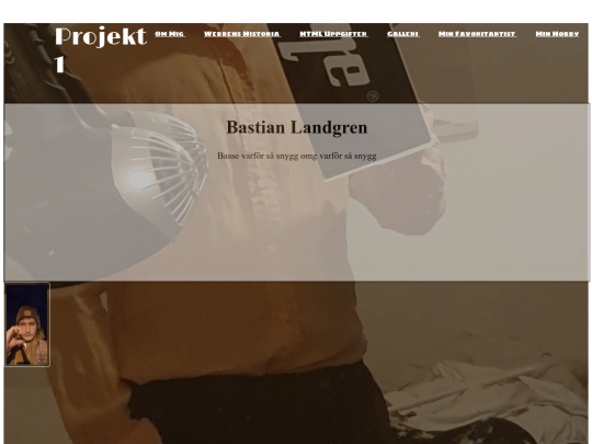 favoritartist screenshot
