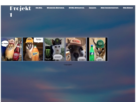 galleri screenshot