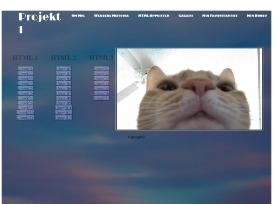 htmluppgifter screenshot