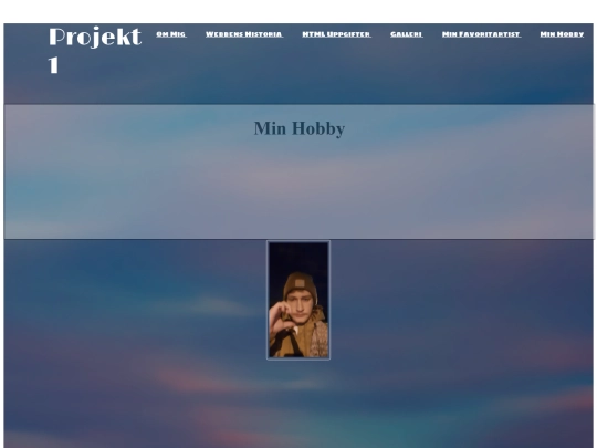 minhobby screenshot