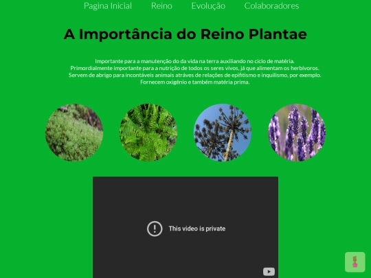 evolucao screenshot