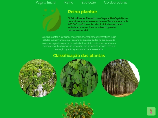 reino screenshot