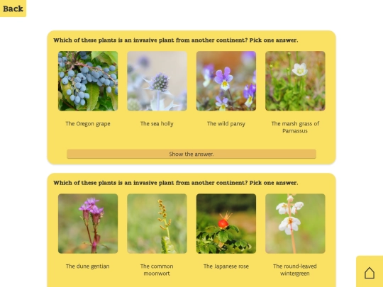 en/quiz screenshot