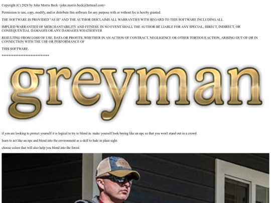 fasttopics/greyman screenshot