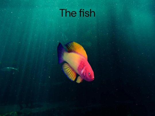 test screenshot