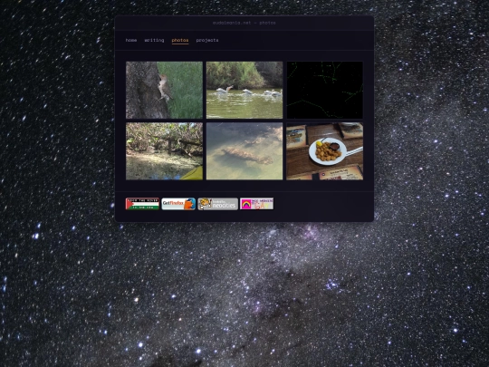 gallery screenshot