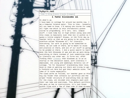 blogentries/archive/10-01-2025-blossomsai screenshot
