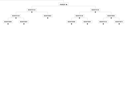 familytree/basic2 screenshot
