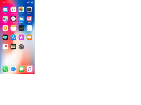 socialmedia/iphone/iphonex/icons screenshot
