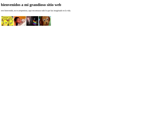 pginaweb01 screenshot