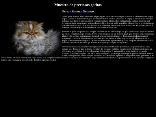 examen screenshot