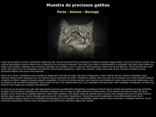 examen/noruego screenshot