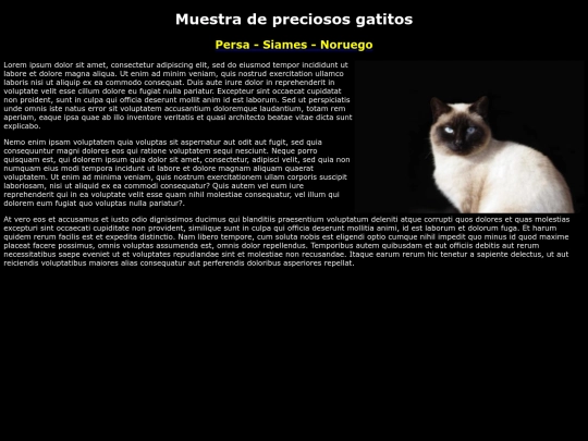 examen/siames screenshot