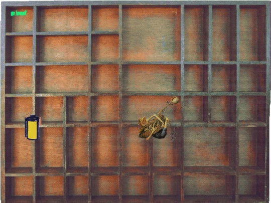 curio_cabinet screenshot