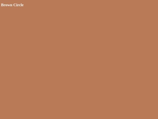 browncircle screenshot