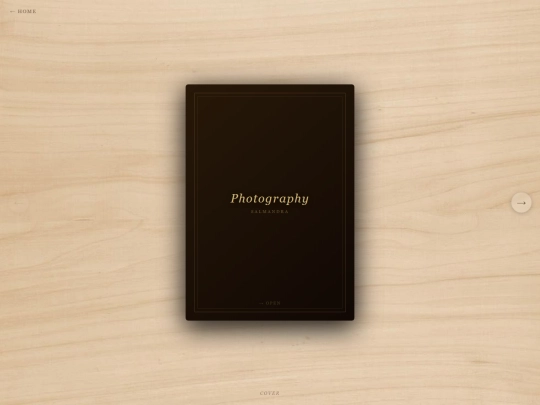 photography screenshot