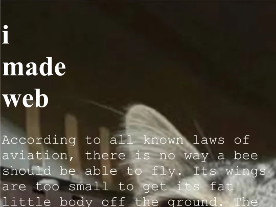 experiment screenshot