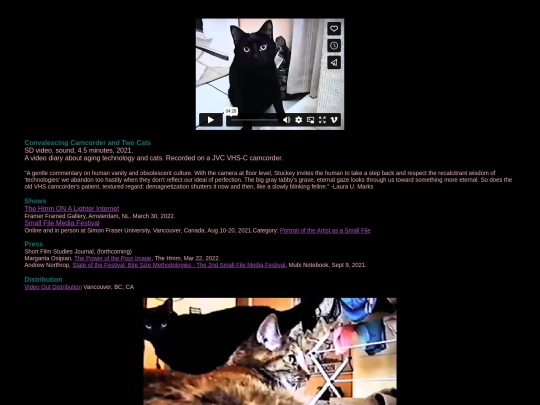 camcorder screenshot