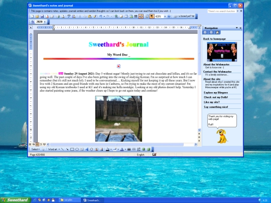 journal_and_junk screenshot