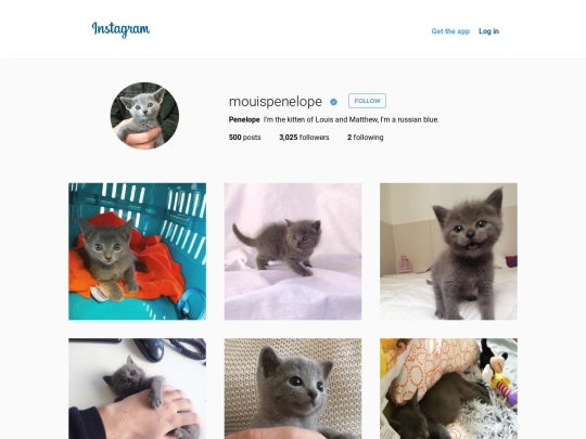 penelope/instagram screenshot