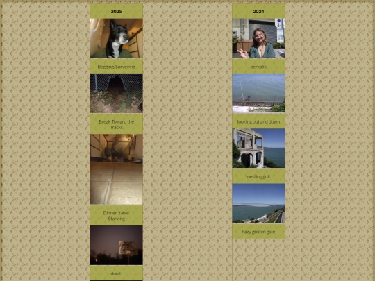 photography_portfolio/photographyportfolio screenshot