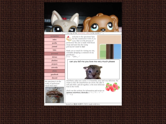 layout screenshot