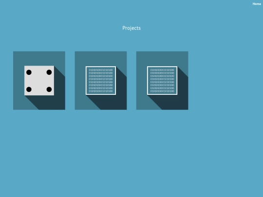 projects screenshot