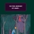 The Forest Path | Home avatar