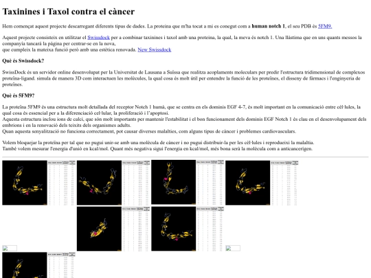docking screenshot