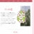 りんごの花 ロシア語の勉強に役立つ資料 avatar