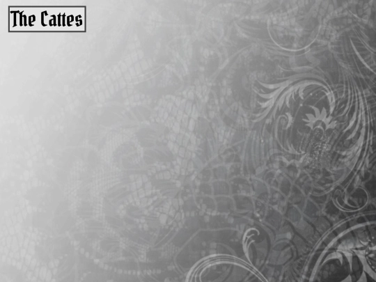 test screenshot