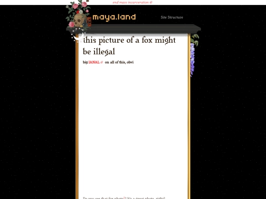 monologues/2021/09/21/illegal-fox-picture screenshot