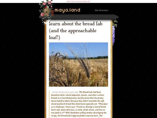 responses/2022/02/17/the-bread-lab-the-approachable-loaf screenshot