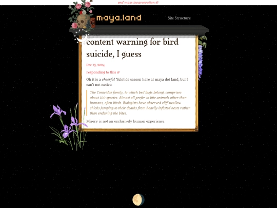 responses/2024/12/13/bird-suicide-bedbugs screenshot