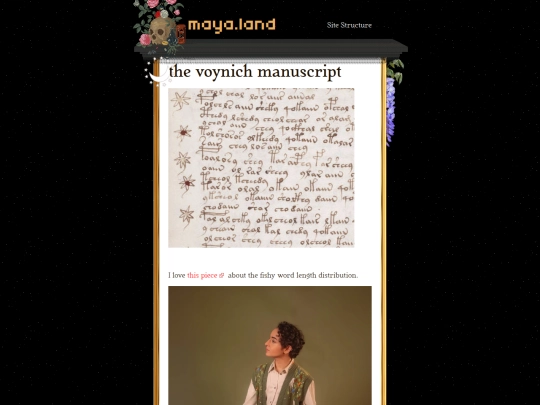 voynich screenshot