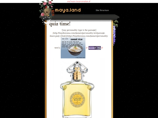who/quizzes screenshot