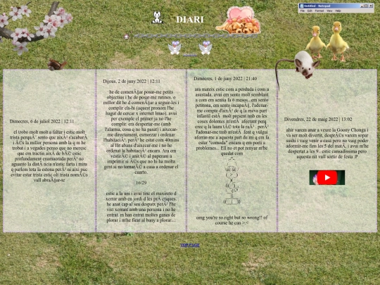 diari screenshot