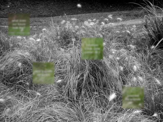 home2 screenshot