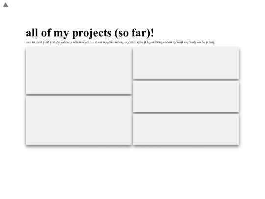 Portfolio/projects screenshot