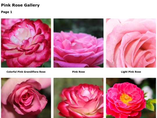 pinkroses screenshot